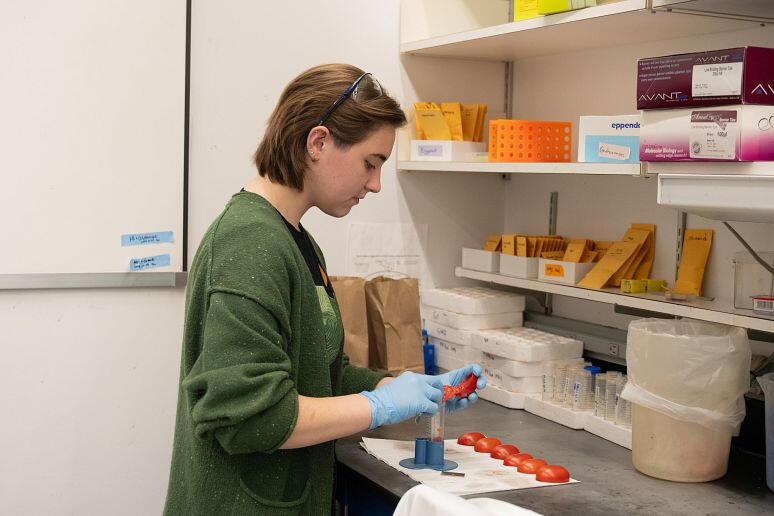 PhD Student Fellowship