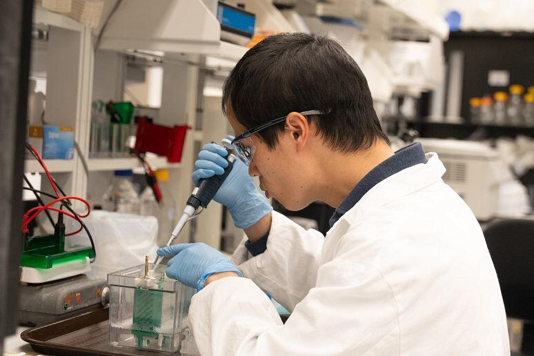 Postdoc Researcher Fellowship