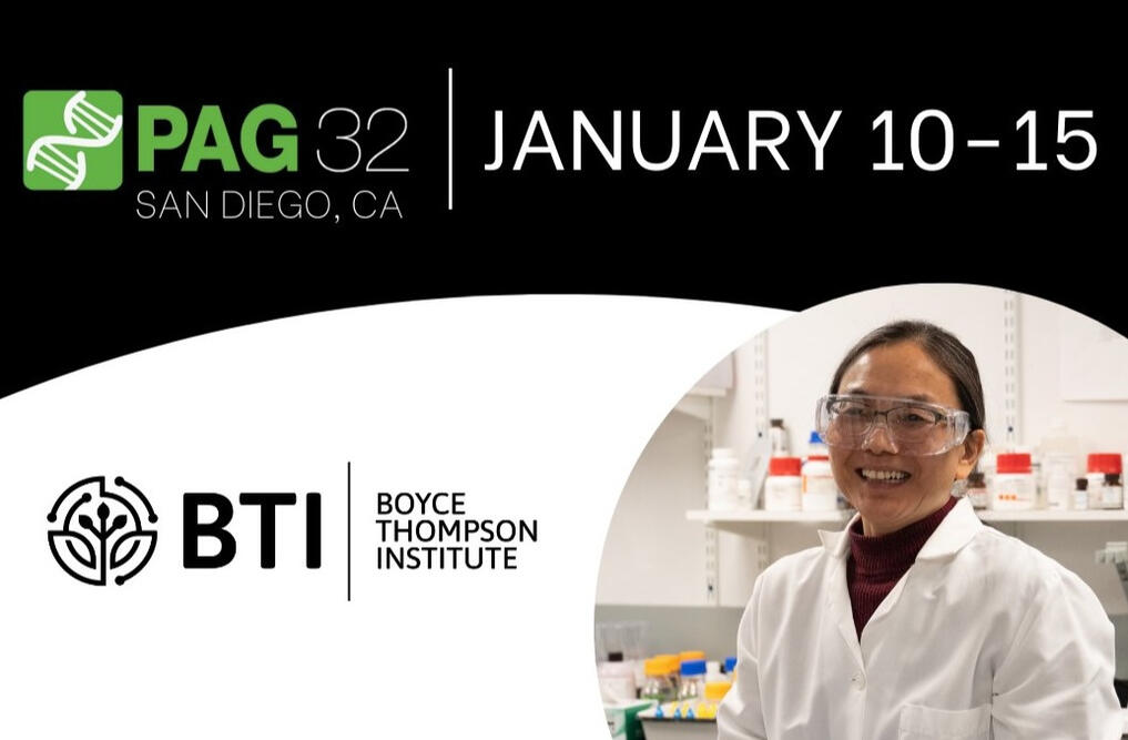 Networking & Marketing