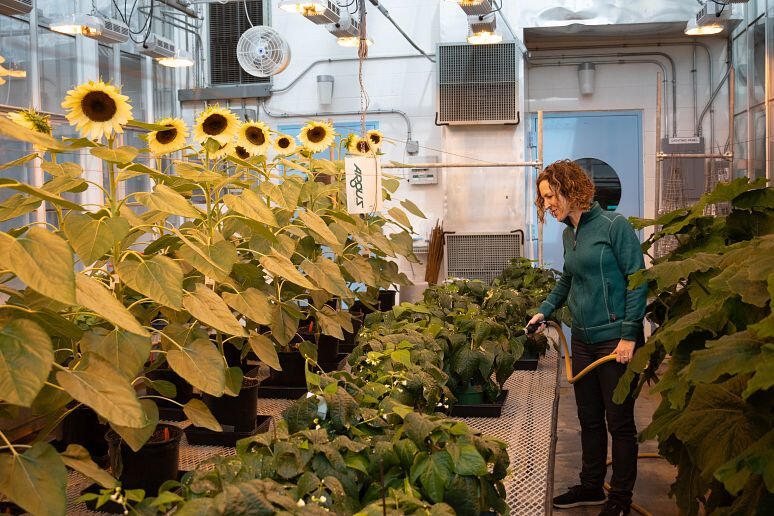 Facilities & Equipment