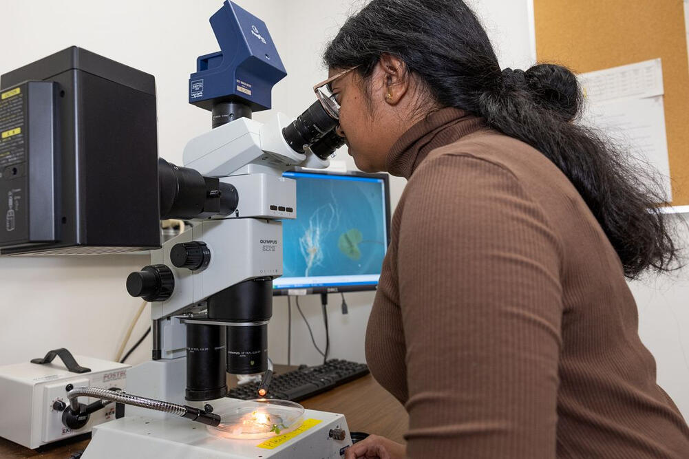 High School Summer Intern