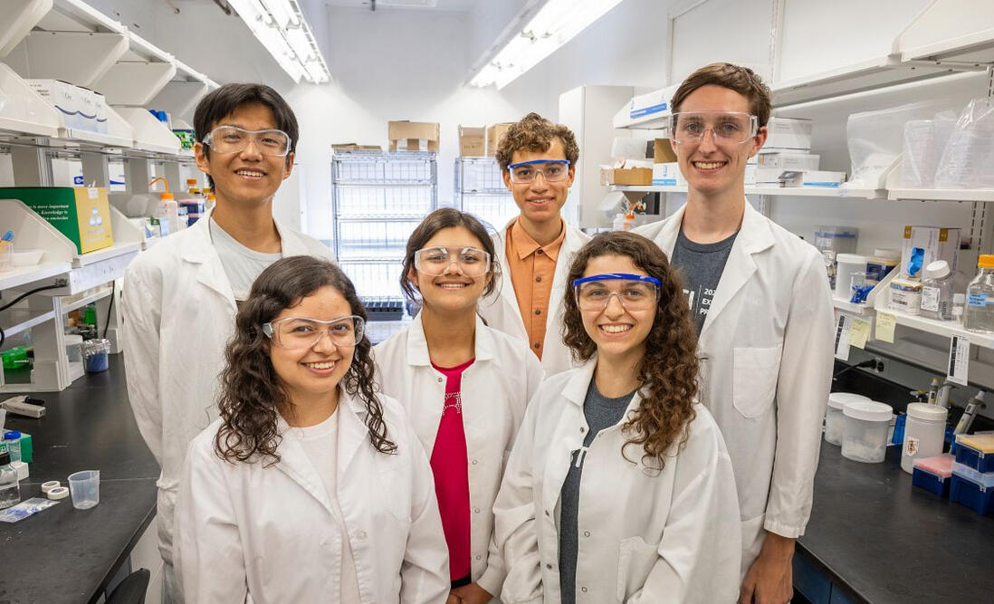 Undergraduate Summer Intern